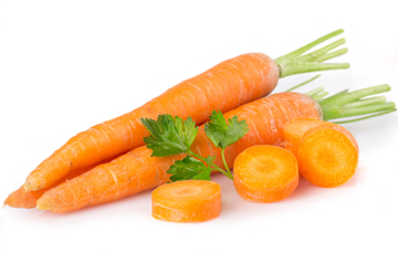 carotte rondelle